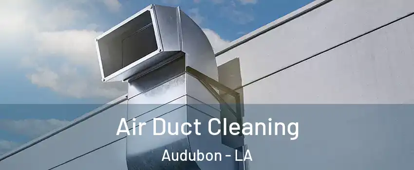 Air Duct Cleaning Audubon - LA