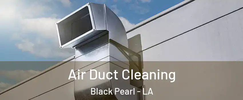 Air Duct Cleaning Black Pearl - LA