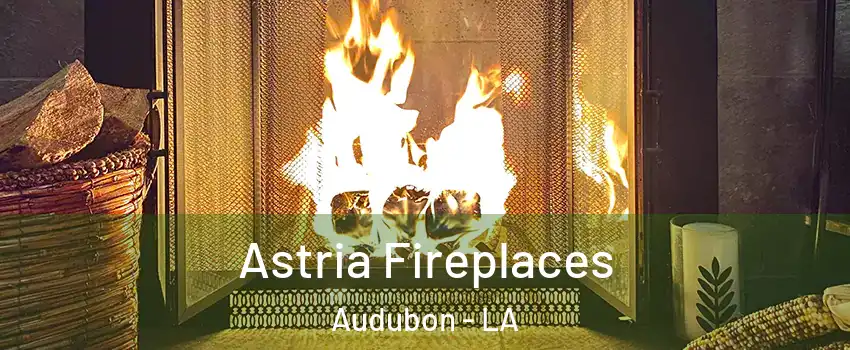 Astria Fireplaces Audubon - LA