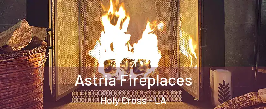 Astria Fireplaces Holy Cross - LA