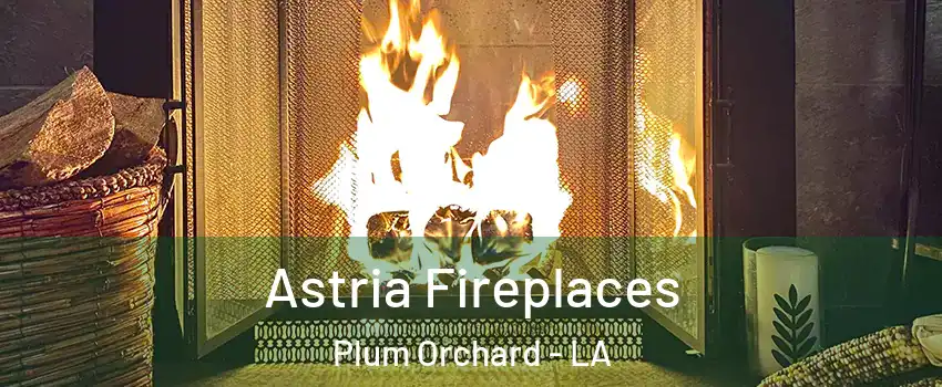 Astria Fireplaces Plum Orchard - LA