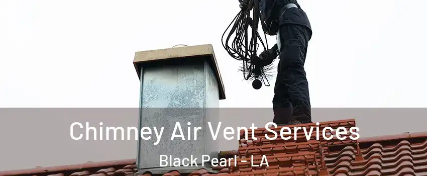 Chimney Air Vent Services Black Pearl - LA