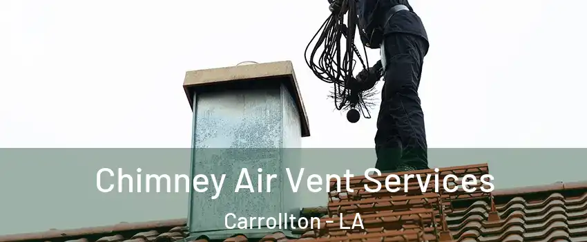 Chimney Air Vent Services Carrollton - LA