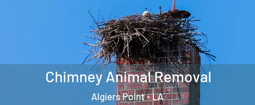 Chimney Animal Removal Algiers Point - LA