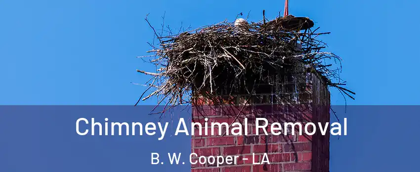 Chimney Animal Removal B. W. Cooper - LA