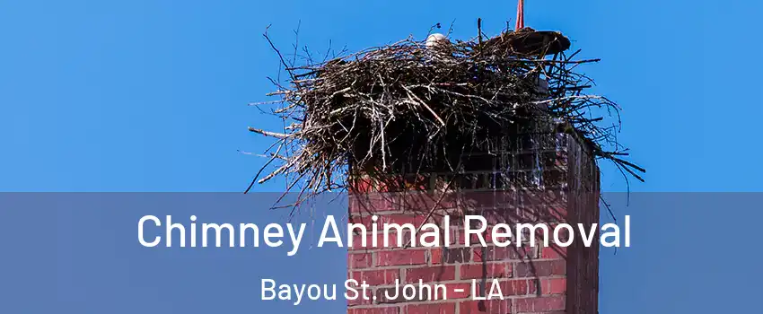 Chimney Animal Removal Bayou St. John - LA