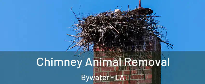 Chimney Animal Removal Bywater - LA