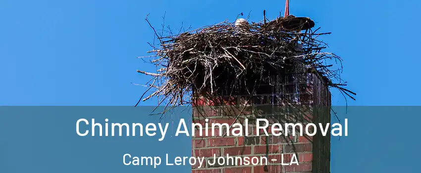 Chimney Animal Removal Camp Leroy Johnson - LA