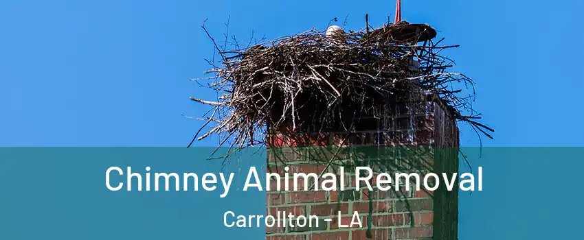 Chimney Animal Removal Carrollton - LA