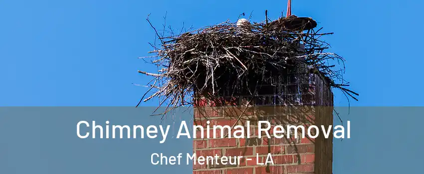 Chimney Animal Removal Chef Menteur - LA