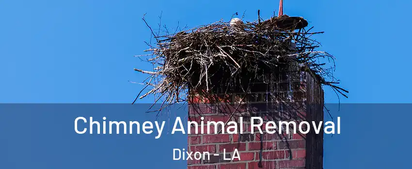 Chimney Animal Removal Dixon - LA