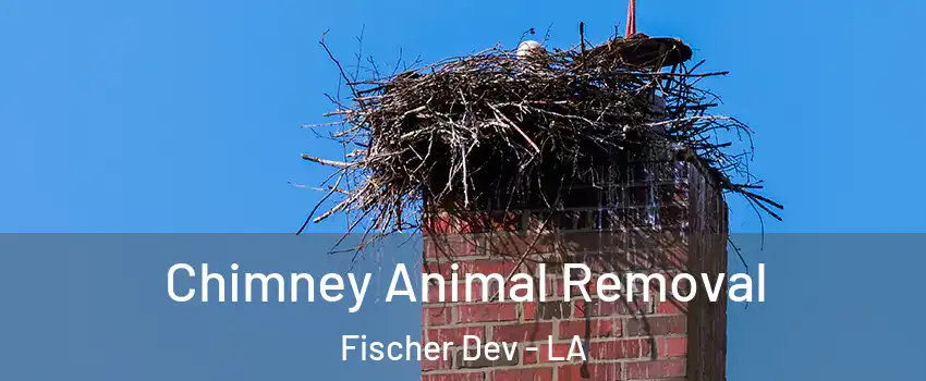 Chimney Animal Removal Fischer Dev - LA