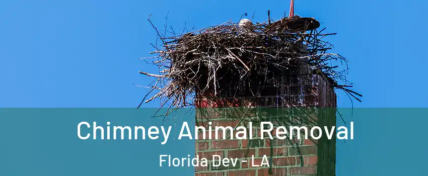 Chimney Animal Removal Florida Dev - LA