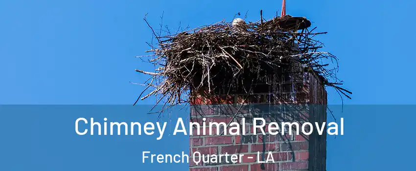 Chimney Animal Removal French Quarter - LA