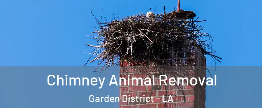 Chimney Animal Removal Garden District - LA