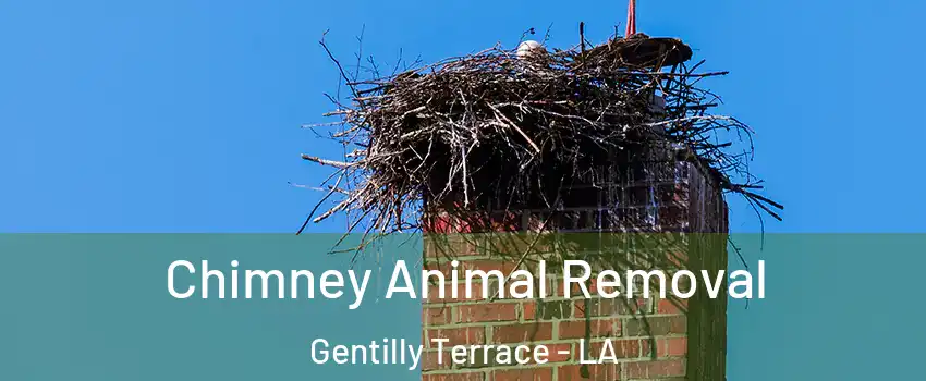 Chimney Animal Removal Gentilly Terrace - LA