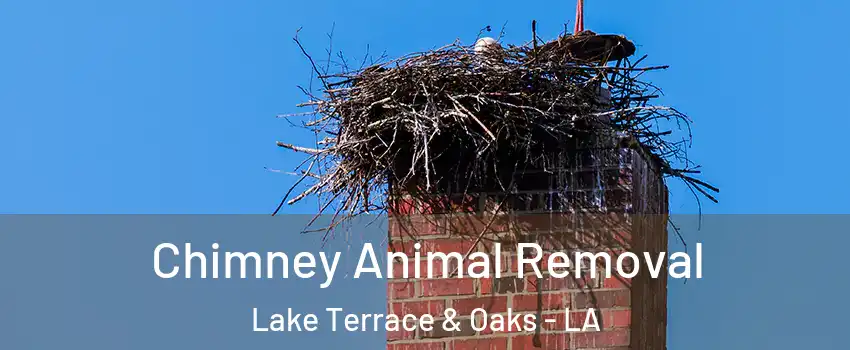 Chimney Animal Removal Lake Terrace & Oaks - LA