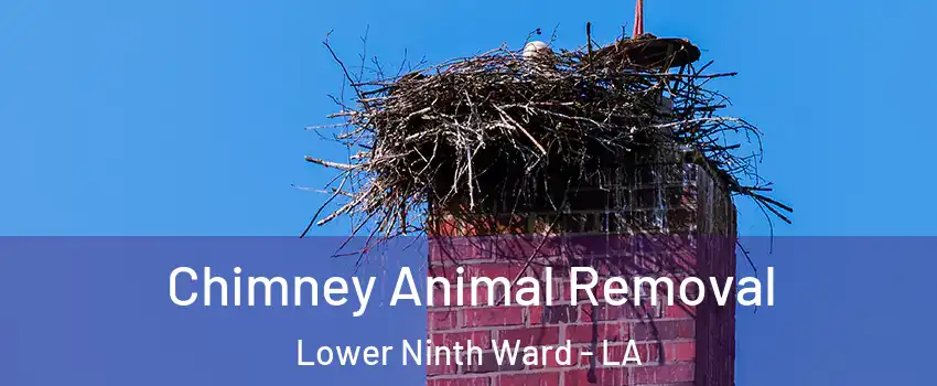 Chimney Animal Removal Lower Ninth Ward - LA