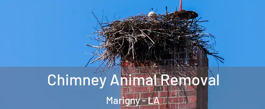 Chimney Animal Removal Marigny - LA