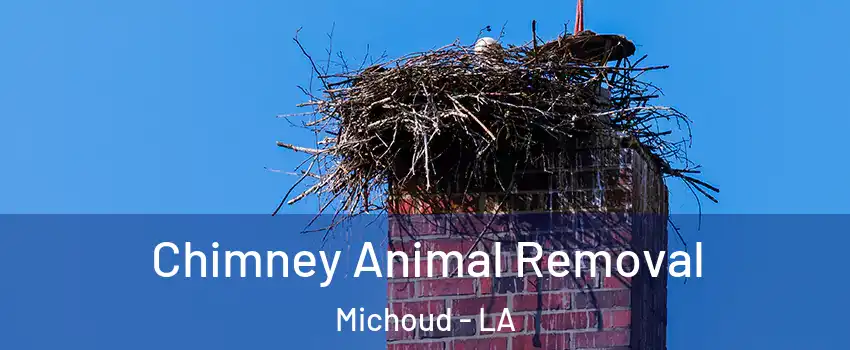 Chimney Animal Removal Michoud - LA