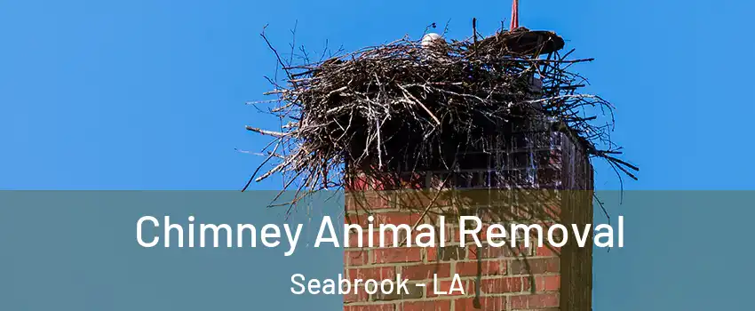 Chimney Animal Removal Seabrook - LA