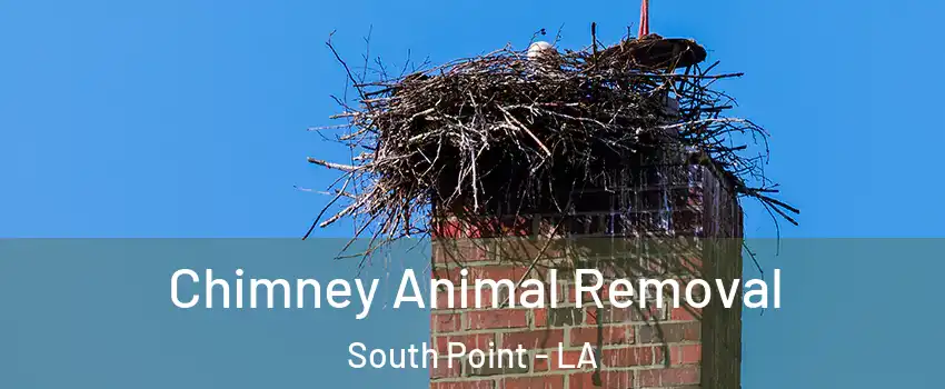 Chimney Animal Removal South Point - LA