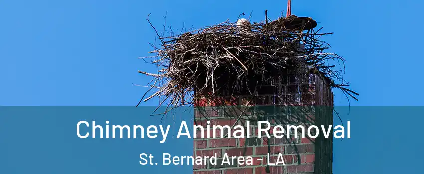 Chimney Animal Removal St. Bernard Area - LA