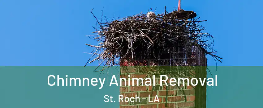 Chimney Animal Removal St. Roch - LA