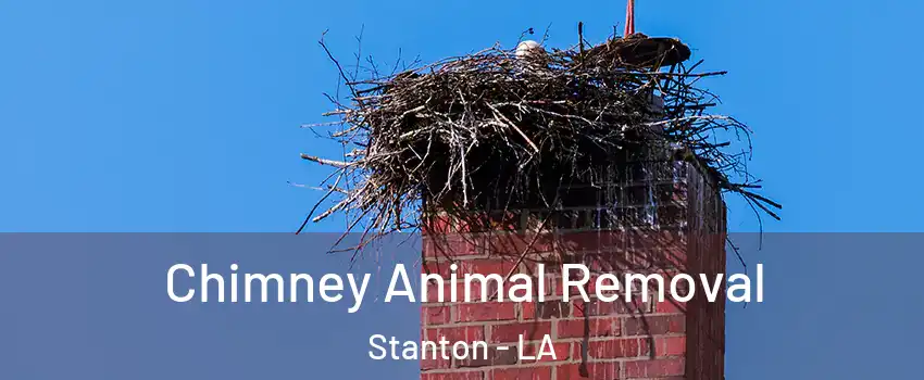 Chimney Animal Removal Stanton - LA