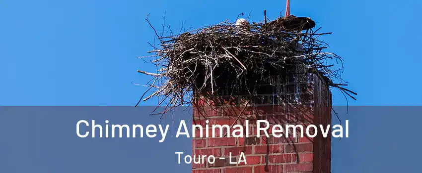 Chimney Animal Removal Touro - LA