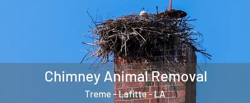 Chimney Animal Removal Treme - Lafitte - LA