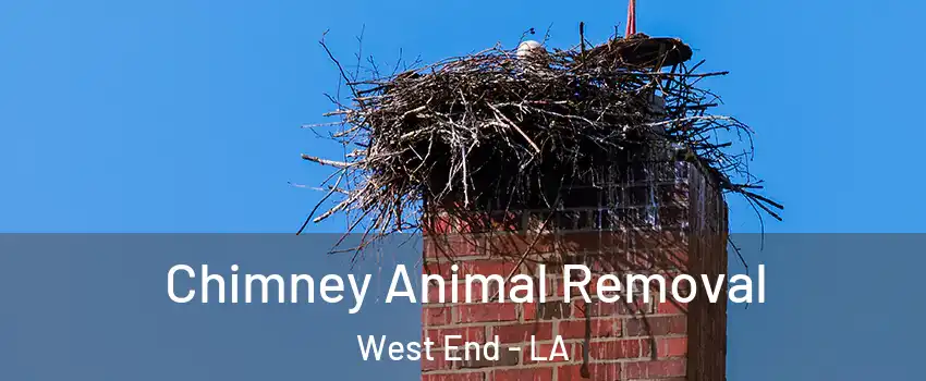 Chimney Animal Removal West End - LA