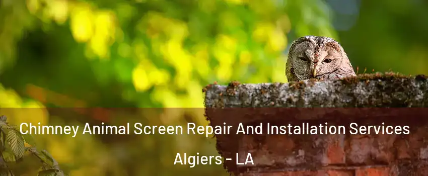 Chimney Animal Screen Repair And Installation Services Algiers - LA