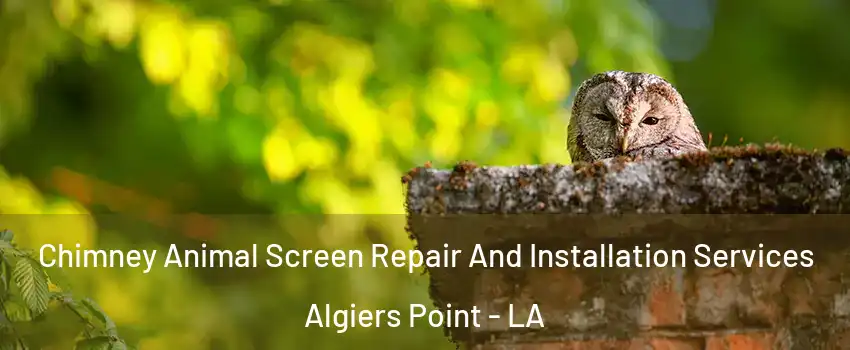 Chimney Animal Screen Repair And Installation Services Algiers Point - LA