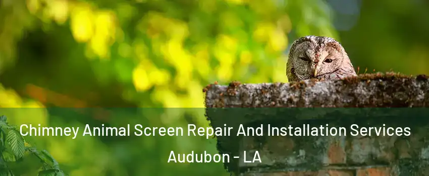 Chimney Animal Screen Repair And Installation Services Audubon - LA