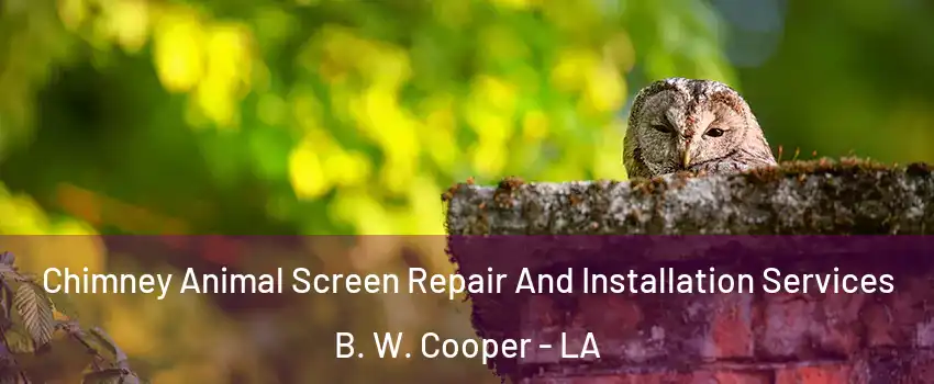 Chimney Animal Screen Repair And Installation Services B. W. Cooper - LA