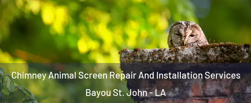 Chimney Animal Screen Repair And Installation Services Bayou St. John - LA