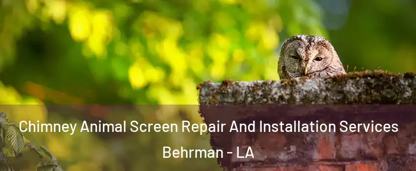 Chimney Animal Screen Repair And Installation Services Behrman - LA