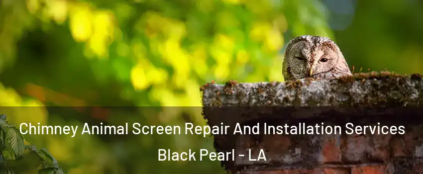 Chimney Animal Screen Repair And Installation Services Black Pearl - LA