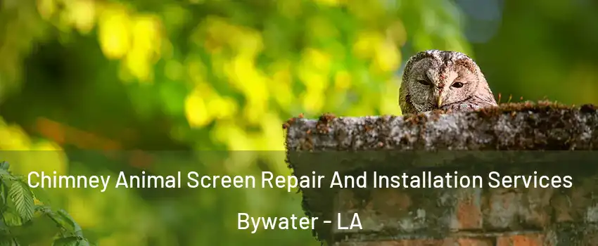 Chimney Animal Screen Repair And Installation Services Bywater - LA