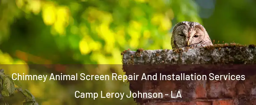 Chimney Animal Screen Repair And Installation Services Camp Leroy Johnson - LA