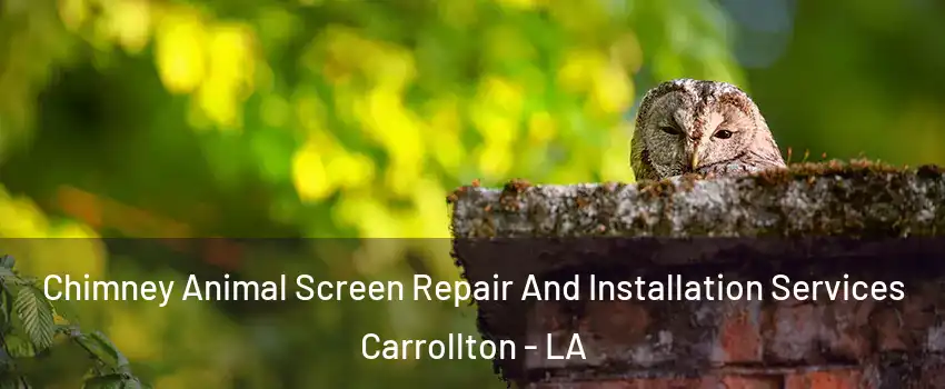 Chimney Animal Screen Repair And Installation Services Carrollton - LA