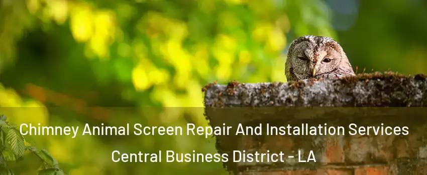 Chimney Animal Screen Repair And Installation Services Central Business District - LA