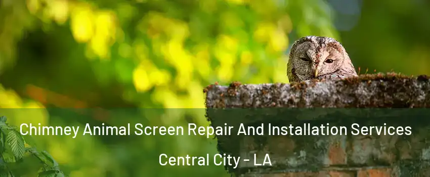 Chimney Animal Screen Repair And Installation Services Central City - LA