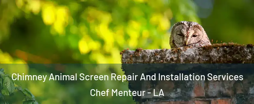 Chimney Animal Screen Repair And Installation Services Chef Menteur - LA