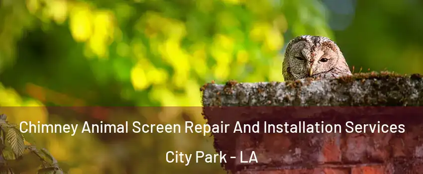 Chimney Animal Screen Repair And Installation Services City Park - LA