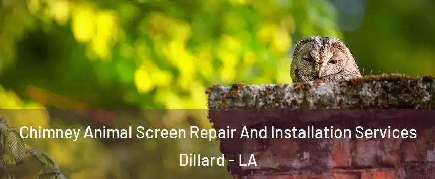 Chimney Animal Screen Repair And Installation Services Dillard - LA