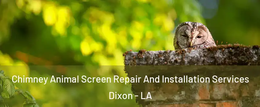 Chimney Animal Screen Repair And Installation Services Dixon - LA