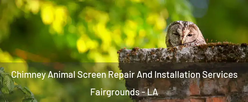 Chimney Animal Screen Repair And Installation Services Fairgrounds - LA