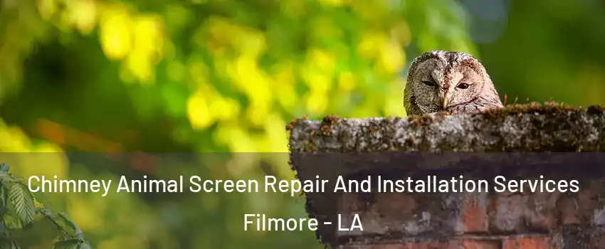 Chimney Animal Screen Repair And Installation Services Filmore - LA